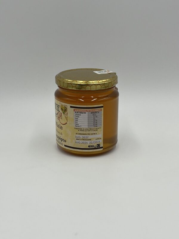 Miele di fiori di Eucalipto Bio 400gr 2025 - immagine 2