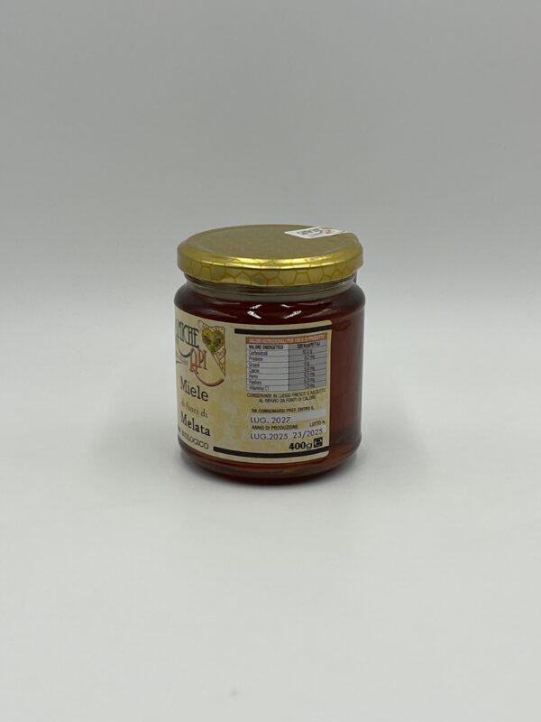 Miele Biologico di Melata 400 gr 2025 - immagine 2